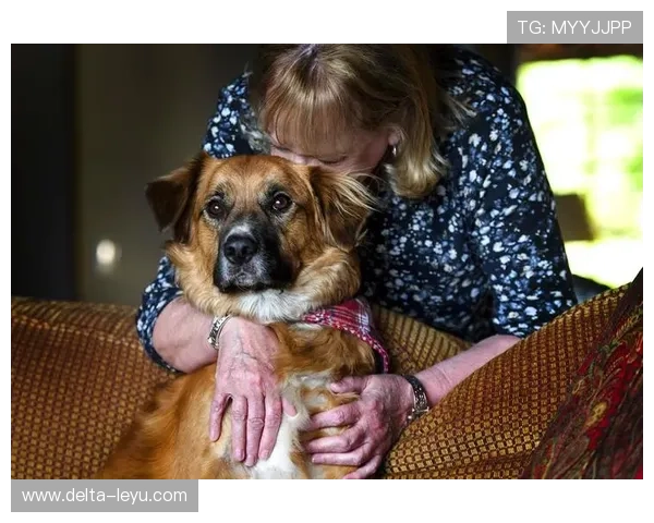 内马尔家的狗都比我家吃得好