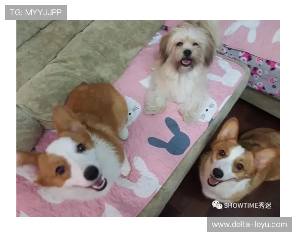 埃琳·安德森比赛后直接去宠物店，买了一堆不便宜的零食，感觉像明星逛街一样奢侈